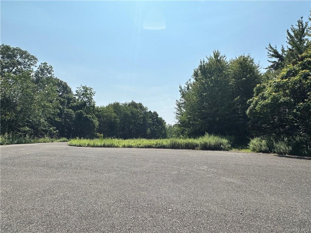 Land Truncali  Ulster, NY 12542, MLS-H6263292-23