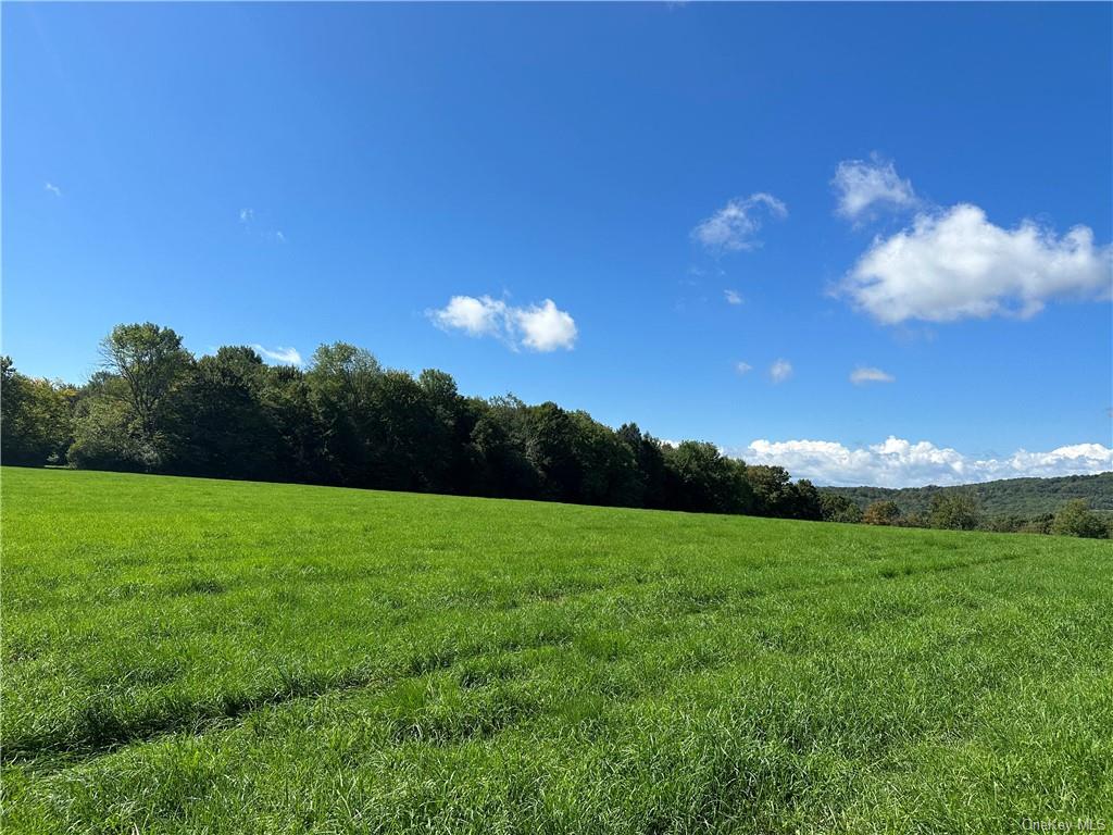 Land Menges  Sullivan, NY 12791, MLS-H6268308-23