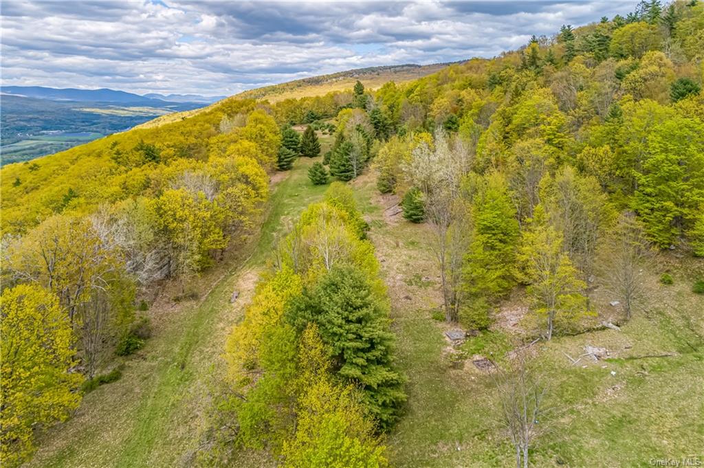 Land Gully  Ulster, NY 12420, MLS-H6249329-23