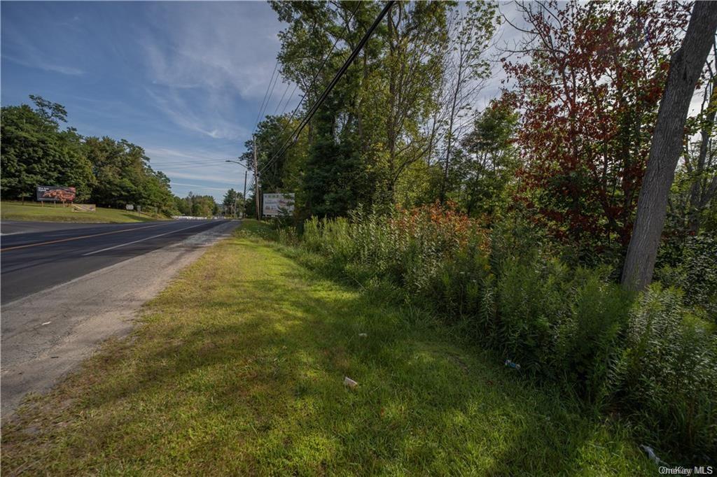 Land Heiden  Sullivan, NY 12733, MLS-H6212378-23