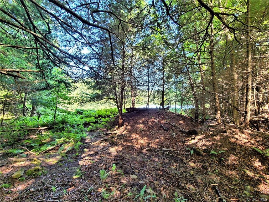 Land Beaver Lake  Sullivan, NY 12758, MLS-H6232604-23