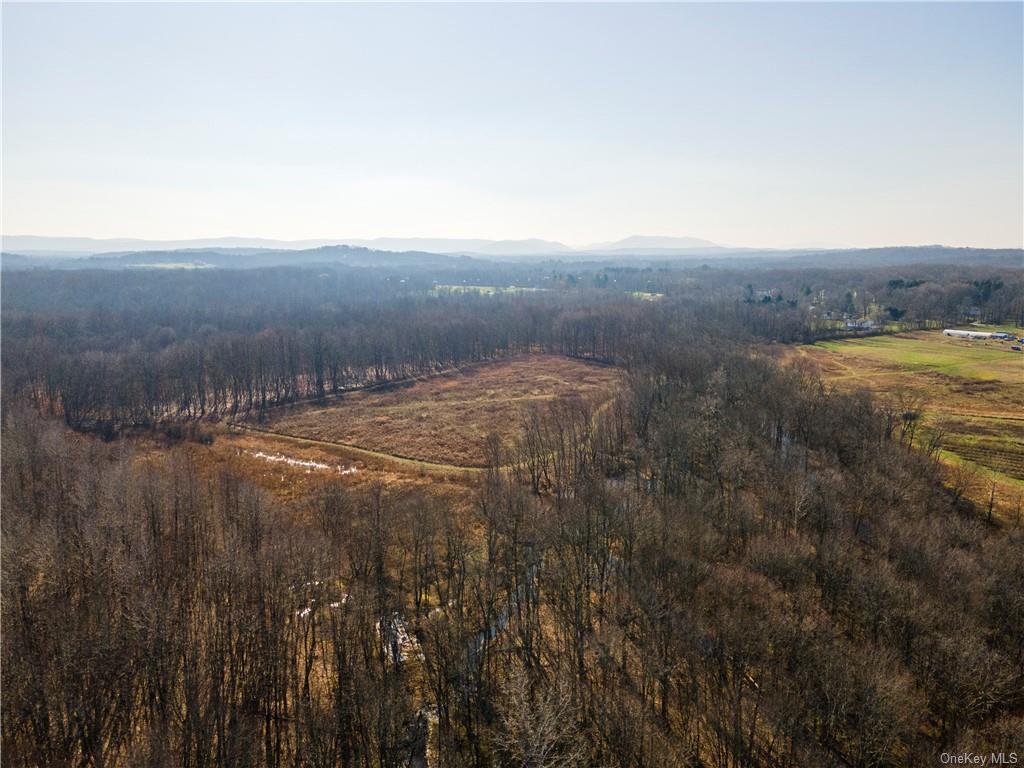 Land Robinson  Dutchess, NY 12590, MLS-H6252670-23