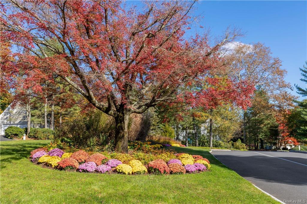 Single Family The Crossing At Blind Brook  Westchester, NY 10577, MLS-H6278692-23