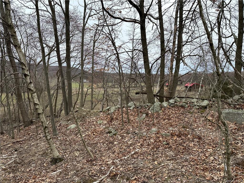 Land Crescent/pancake Hollow  Ulster, NY 12528, MLS-H6259698-23