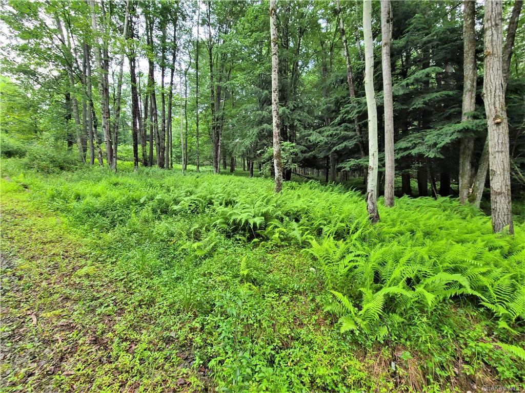 Land Goldsmith  Sullivan, NY 12783, MLS-H6258729-23