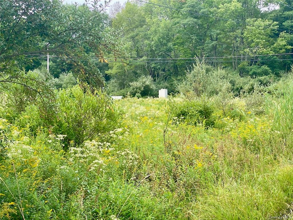 Land Moscoe  Sullivan, NY 12720, MLS-H6241893-23