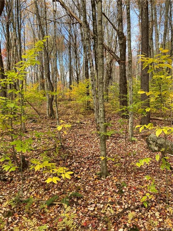 Land Big Woods  Sullivan, NY 12472, MLS-H6274967-23