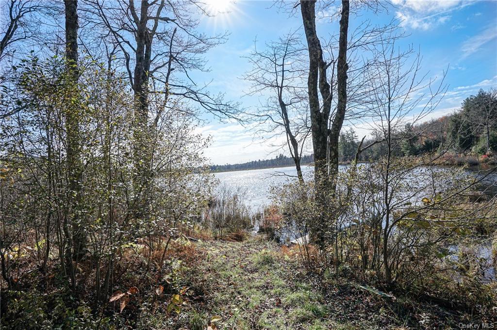 Land Amber Lake  Sullivan, NY 12758, MLS-H6150969-23