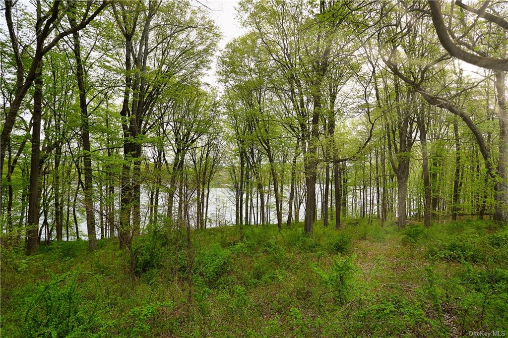 Land Beaver Pond  Rockland, NY 10980, MLS-H6246059-24