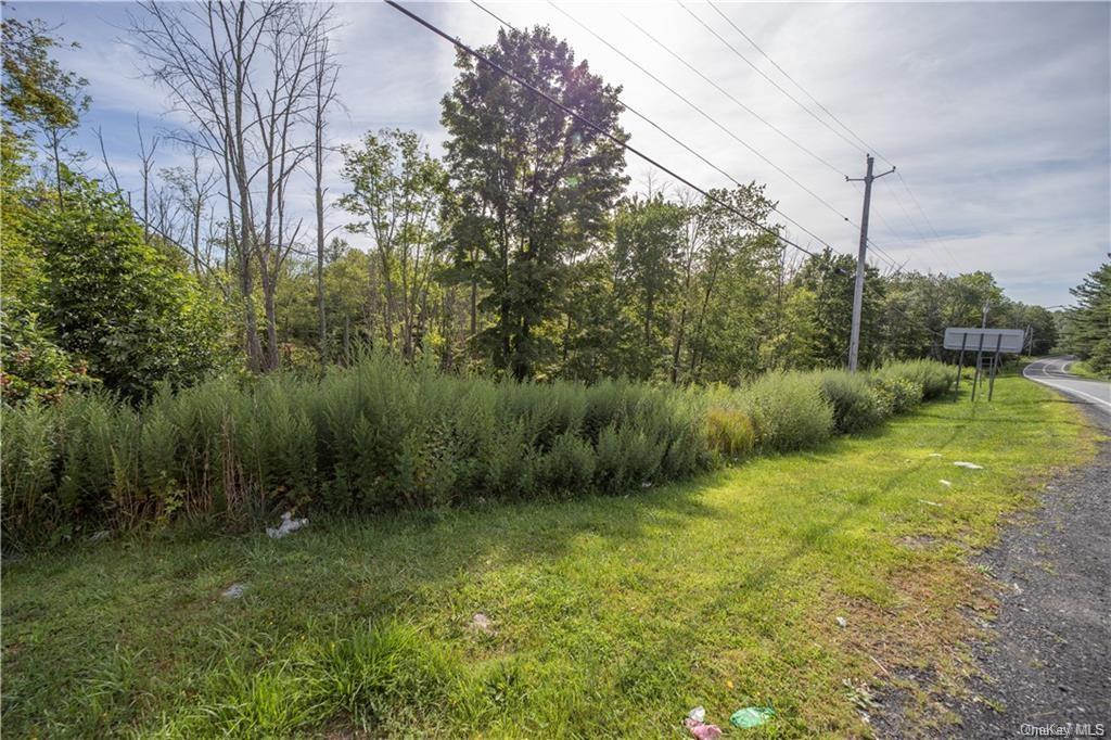 Land Heiden  Sullivan, NY 12733, MLS-H6212378-24