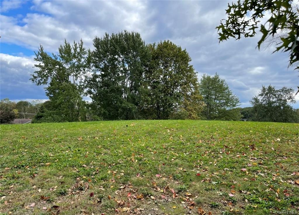 Land Birch  Ulster, NY 12589, MLS-H6271581-24