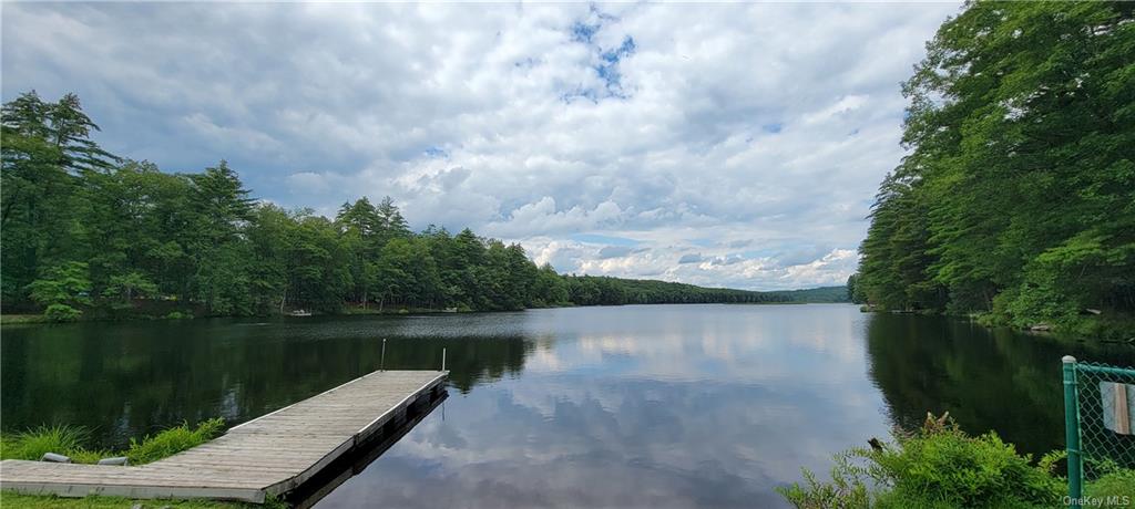 Land Hawks Nest  Out Of Area, NY 18428, MLS-H6265593-24