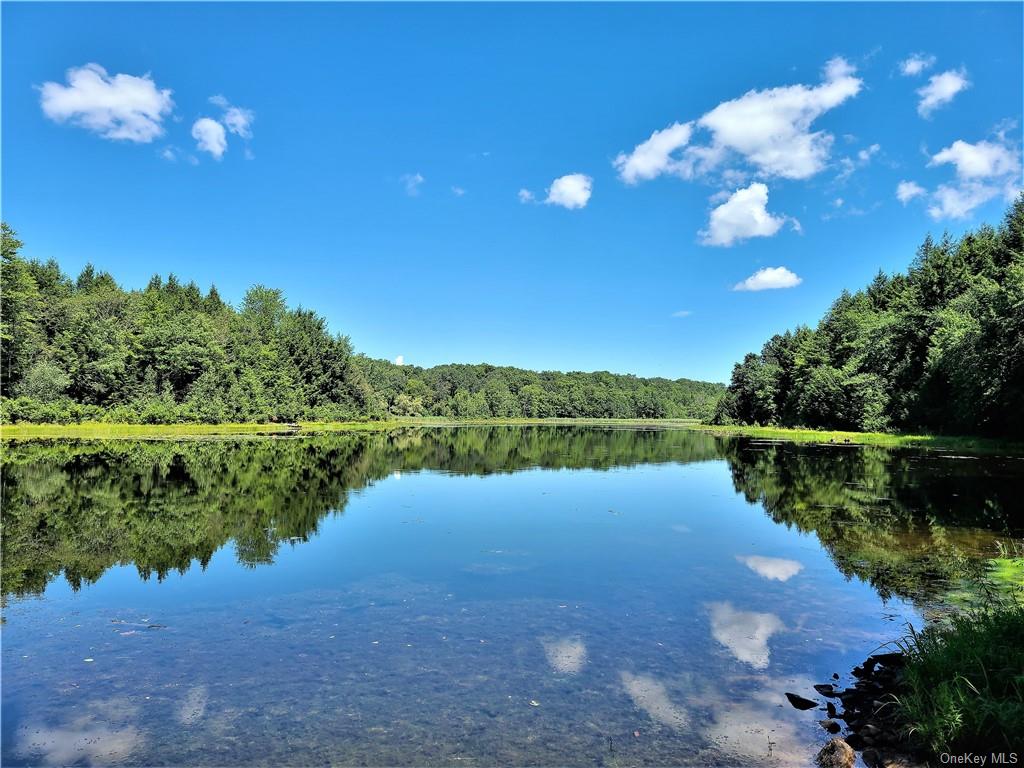 Land Beaver Lake  Sullivan, NY 12758, MLS-H6232604-24