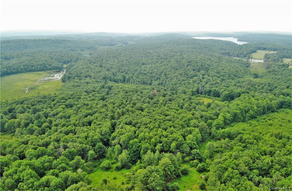 Land Mitchell  Sullivan, NY 12786, MLS-H6243649-24