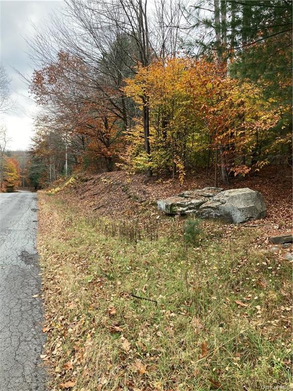 Land Plank  Sullivan, NY 12762, MLS-H6274706-24