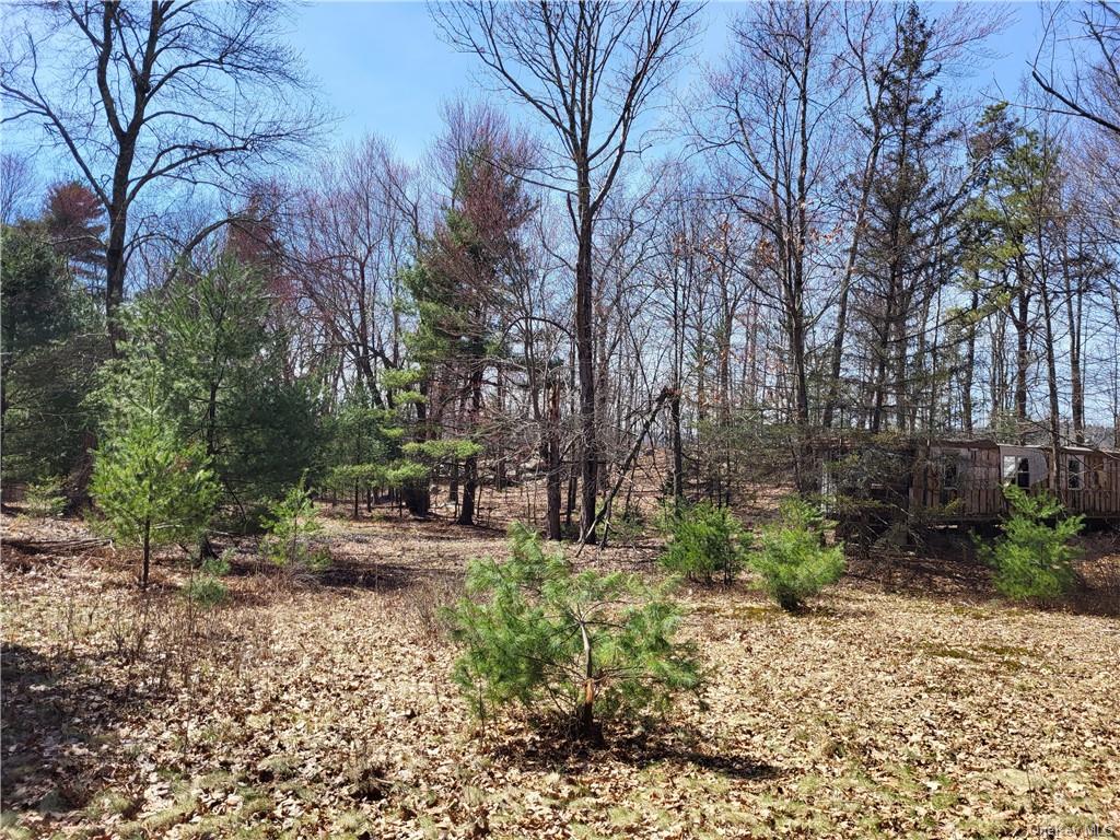 Land Old Plank  Ulster, NY 12420, MLS-H6180707-24