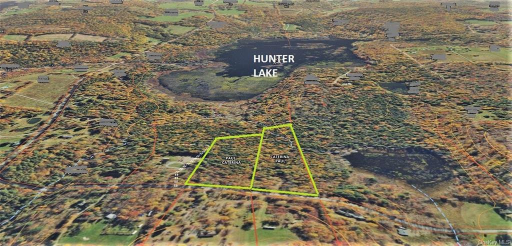 Land Goldsmith  Sullivan, NY 12783, MLS-H6258729-24