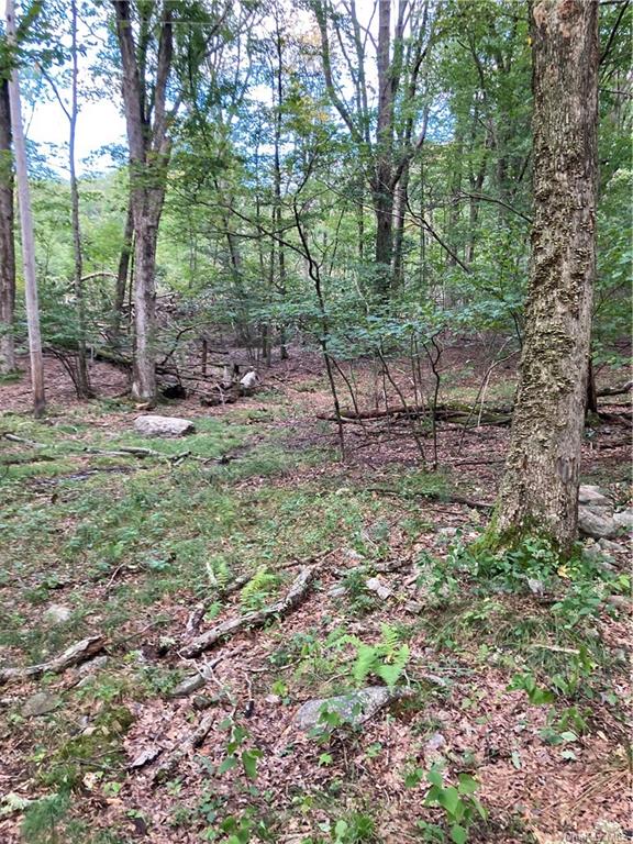 Land Route 52  Ulster, NY 12489, MLS-H6271730-24