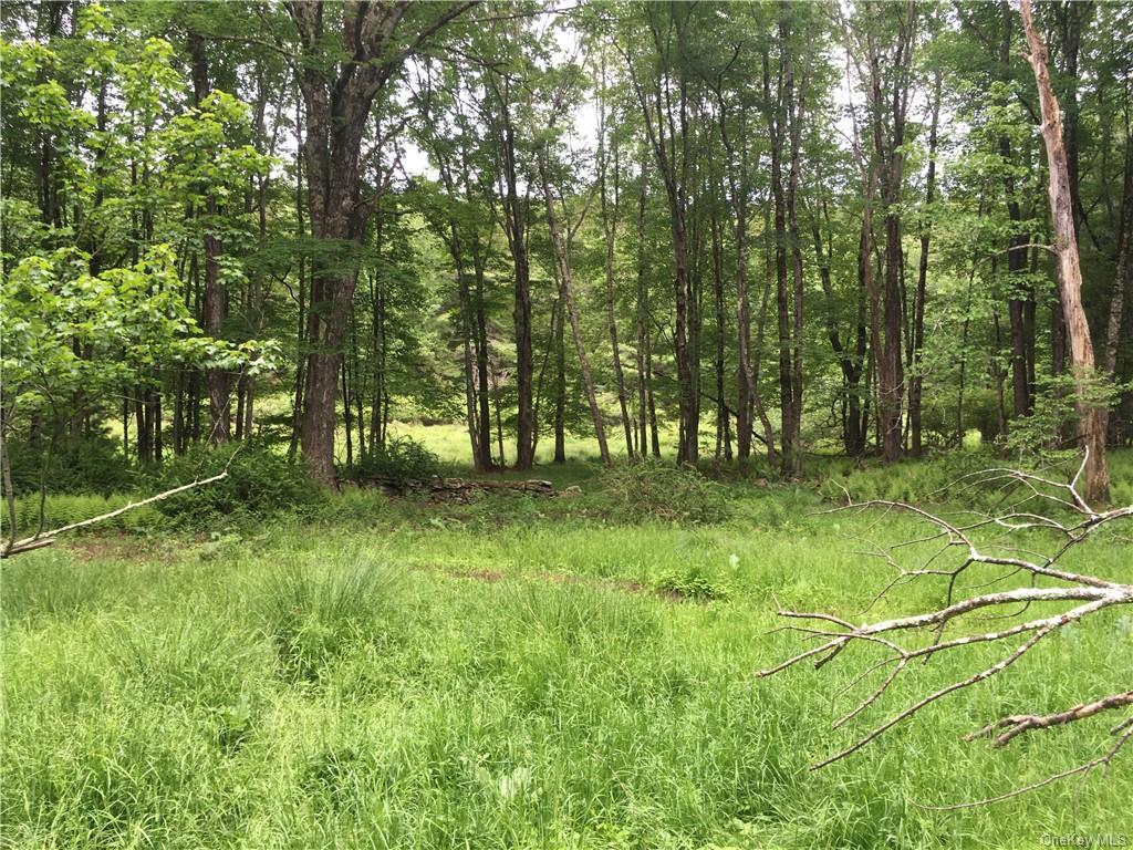 Land Cty Hwy 141 - Horseshoe Lake Rd Lots 10.7 & 10.9  Sullivan, NY 12720, MLS-H6240873-24