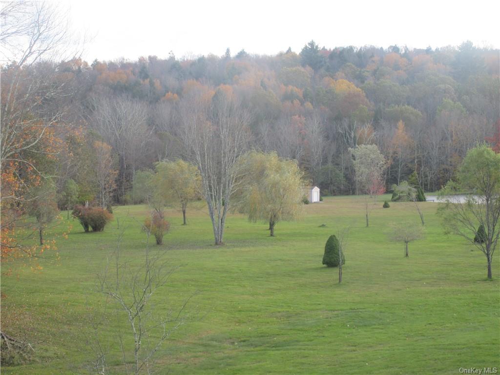 Two Family County Route 56  Sullivan, NY 12763, MLS-H6274941-24