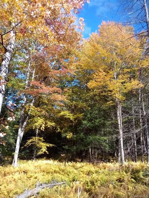 Land Mount Vernon  Sullivan, NY 12790, MLS-H6215980-24