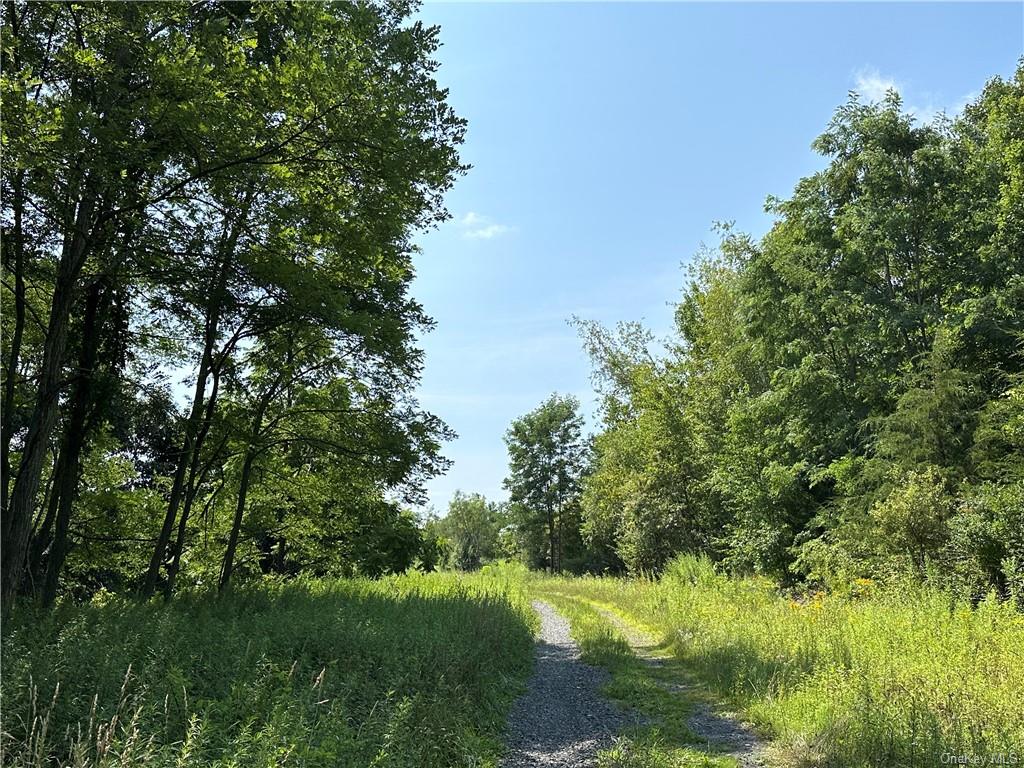 Land Truncali  Ulster, NY 12542, MLS-H6263292-25