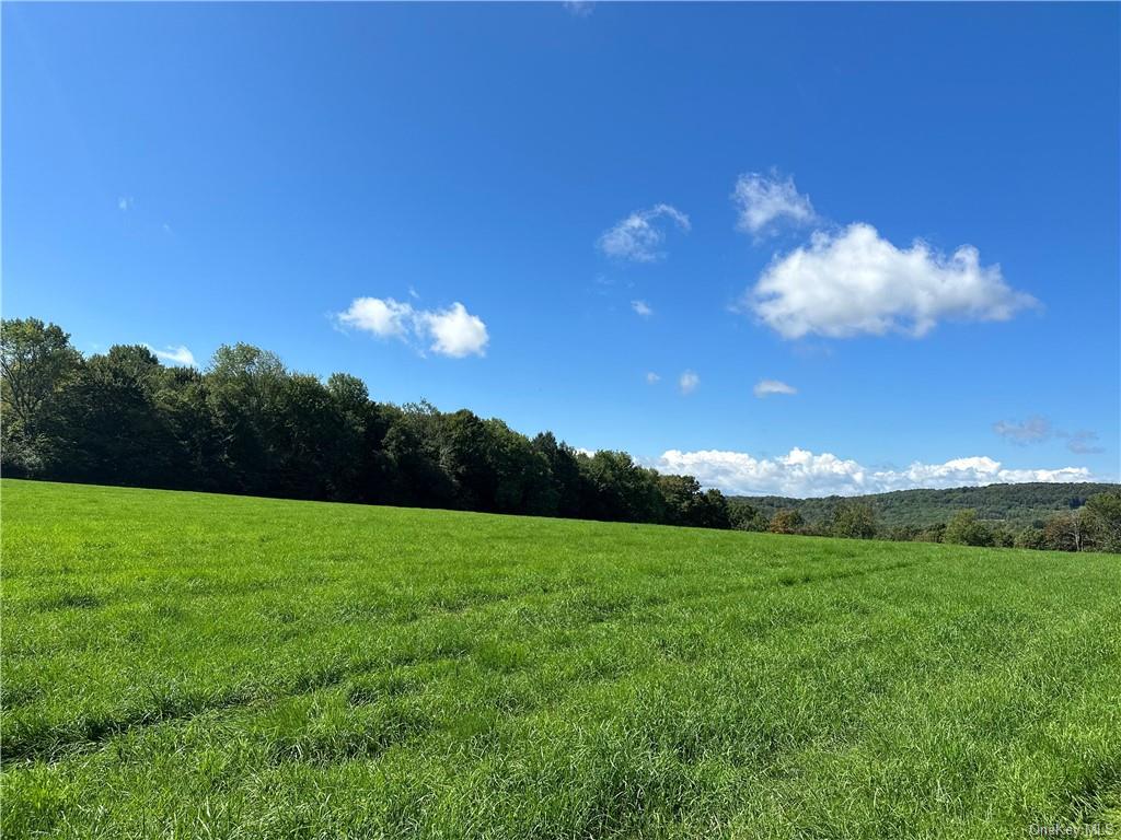 Land Menges  Sullivan, NY 12791, MLS-H6268308-25