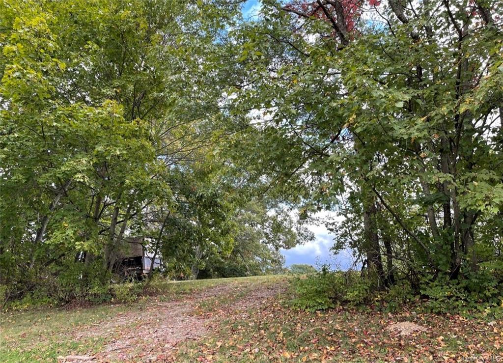 Land Birch  Ulster, NY 12589, MLS-H6271581-25