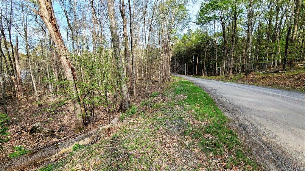 Land Lakeshore  Sullivan, NY 12778, MLS-H6143640-25