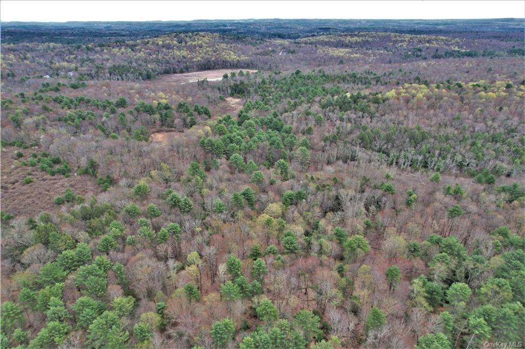 Land Mitchell  Sullivan, NY 12786, MLS-H6243649-25