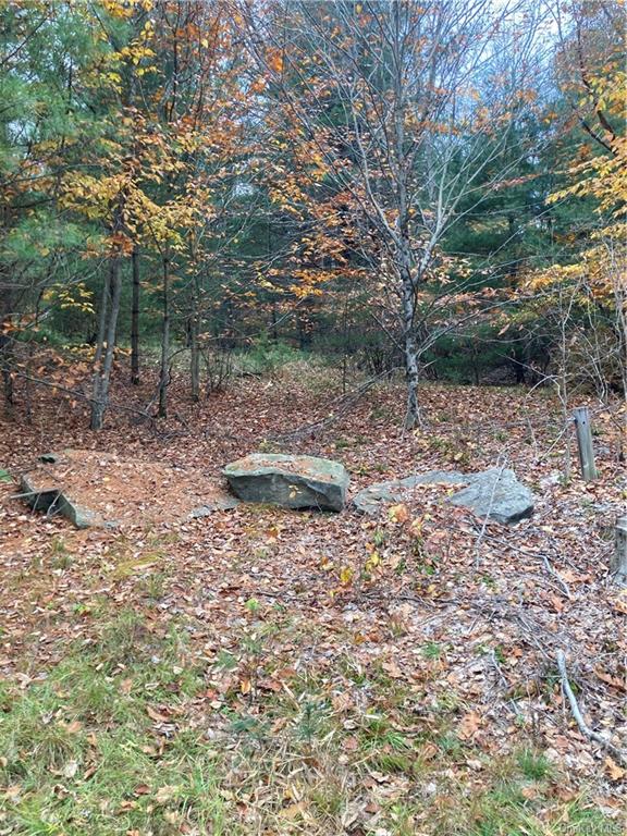 Land Plank  Sullivan, NY 12762, MLS-H6274706-25