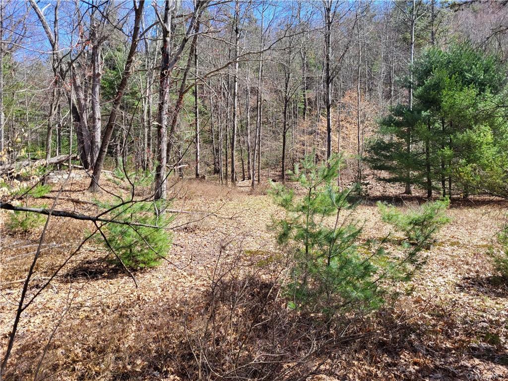 Land Old Plank  Ulster, NY 12420, MLS-H6180707-25