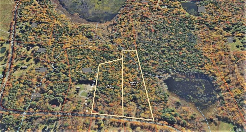 Land Goldsmith  Sullivan, NY 12783, MLS-H6258729-25