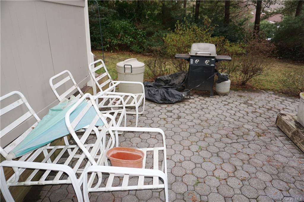 Condo Pondcrest  Westchester, NY 10607, MLS-H6267836-25