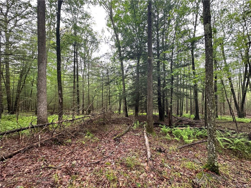 Land State Route 55  Sullivan, NY 12719, MLS-H6256862-25