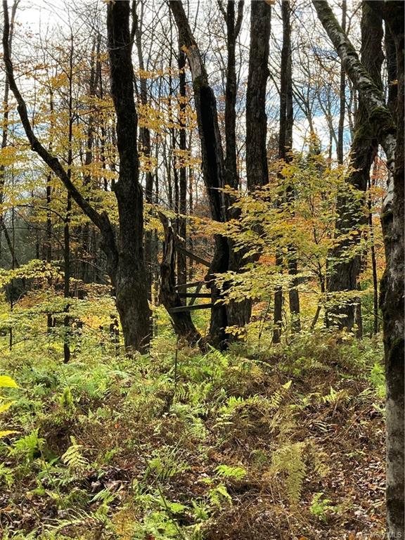 Land Big Woods  Sullivan, NY 12472, MLS-H6274967-25