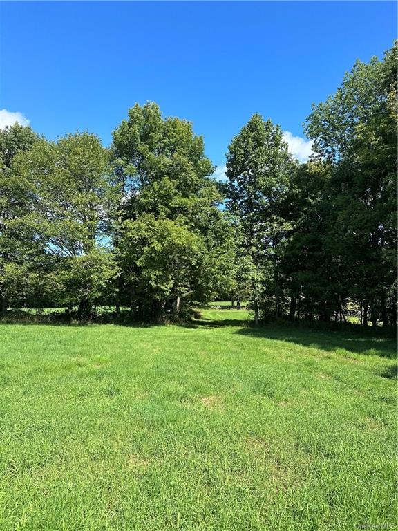 Land Menges  Sullivan, NY 12791, MLS-H6268308-26