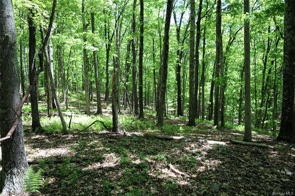 Land Barbara  Sullivan, NY 12723, MLS-H6280499-26