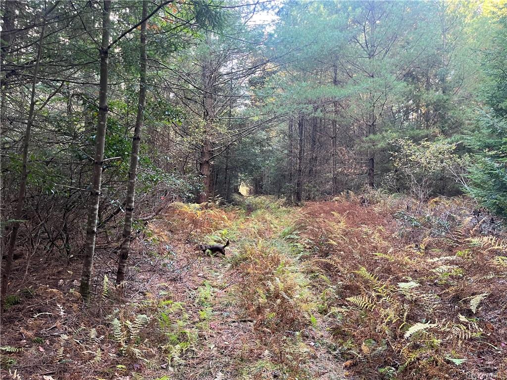 Land Ulster Heights  Ulster, NY 12489, MLS-H6274556-26
