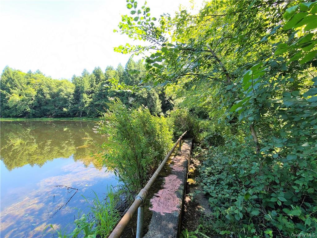 Land Beaver Lake  Sullivan, NY 12758, MLS-H6232604-26