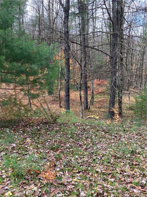 Land Plank  Sullivan, NY 12762, MLS-H6274706-26