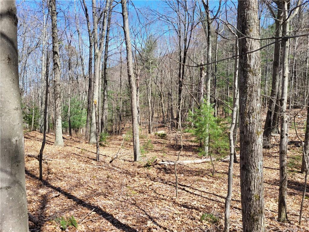 Land Old Plank  Ulster, NY 12420, MLS-H6180707-26