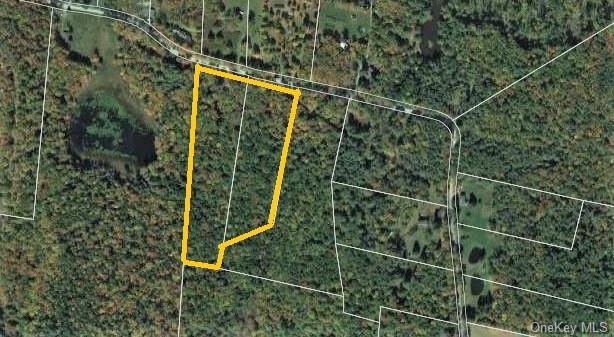 Land Goldsmith  Sullivan, NY 12783, MLS-H6258729-26