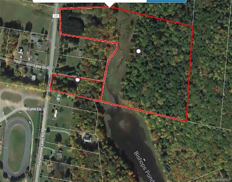 Land Cty Hwy 141 - Horseshoe Lake Rd Lots 10.7 & 10.9  Sullivan, NY 12720, MLS-H6240873-26