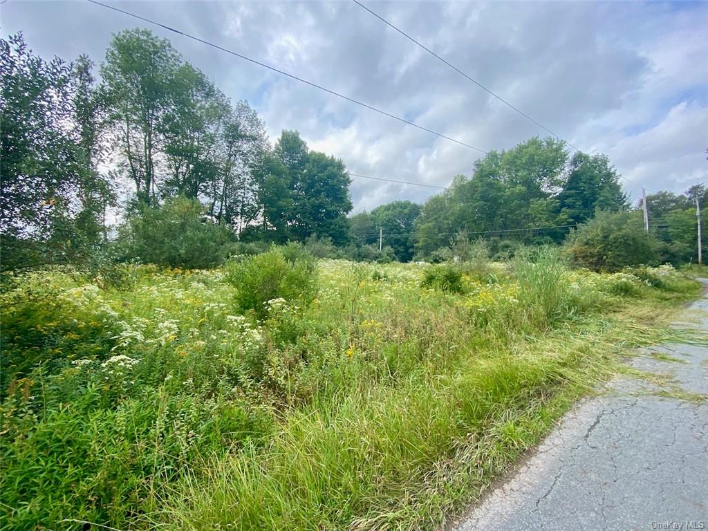 Land Moscoe  Sullivan, NY 12720, MLS-H6241893-26