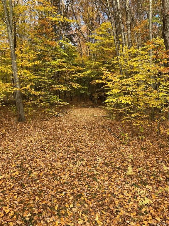 Land Big Woods  Sullivan, NY 12472, MLS-H6274967-26