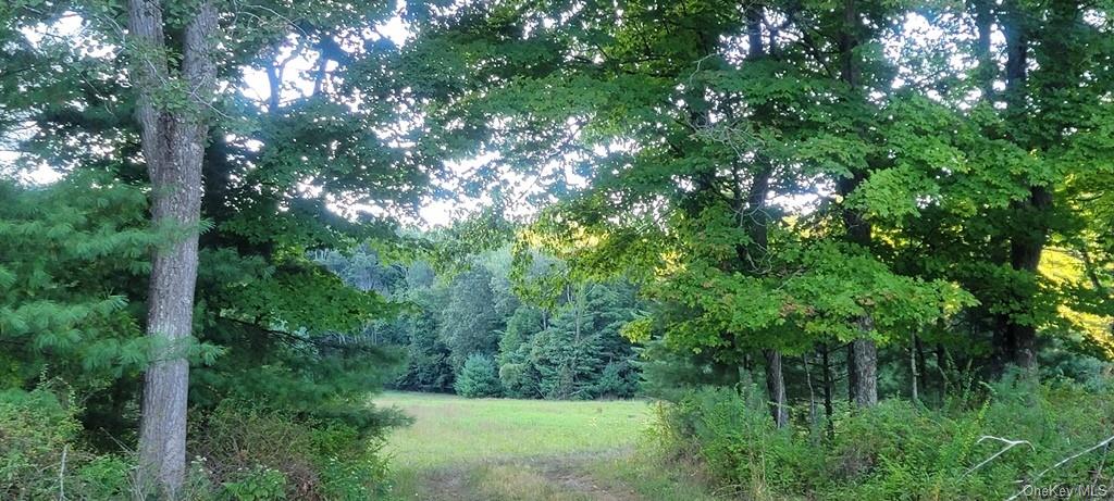 Land Meyerson  Sullivan, NY 12790, MLS-H6207993-26