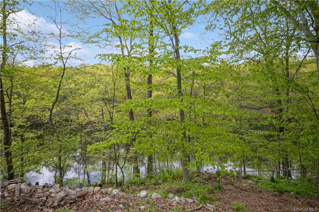 Single Family Croton Dam  Westchester, NY 10562, MLS-H6247113-27