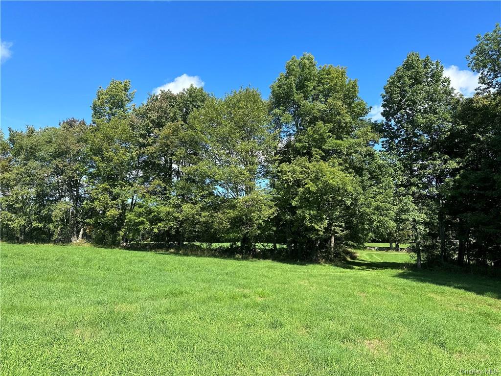 Land Menges  Sullivan, NY 12791, MLS-H6268308-27