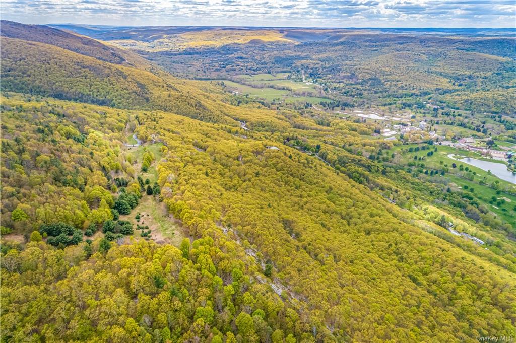 Land Gully  Ulster, NY 12420, MLS-H6249329-27